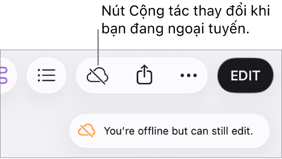 Cảnh báo trên màn hình cho biết “Bạn đang ngoại tuyến nhưng vẫn có thể sửa”.