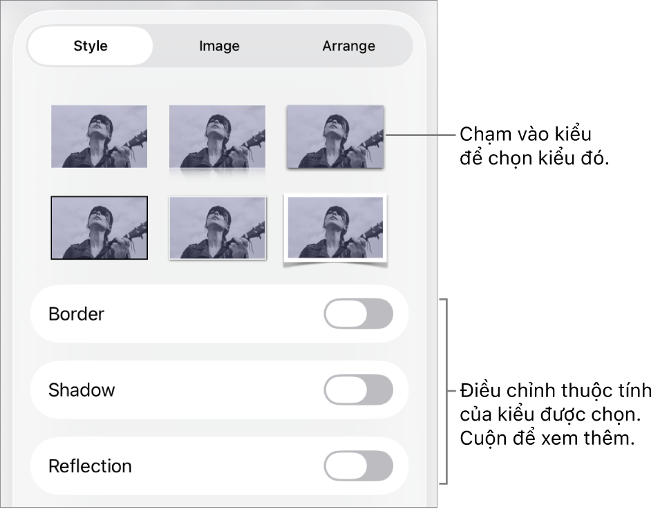 Tab Kiểu của menu Định dạng với các kiểu đối tượng ở đầu và các điều khiển ở bên dưới để thay đổi đường viền, bóng, phản chiếu và độ mờ.