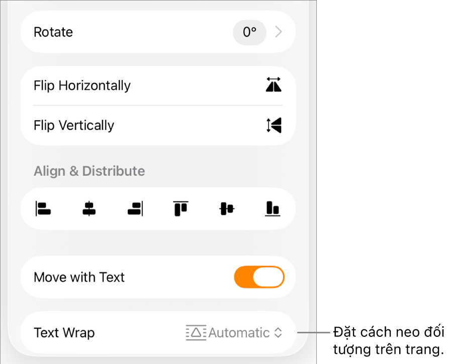 Các điều khiển Định dạng với tab Sắp xếp được chọn và các điều khiển cho Chuyển ra trước/sau, Chuyển với văn bản và Ngắt dòng văn bản.