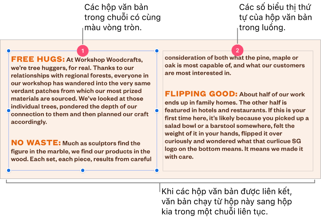 Hai hộp văn bản có vòng tròn màu tía ở trên đầu và các số 1 và 2 trong vòng tròn.