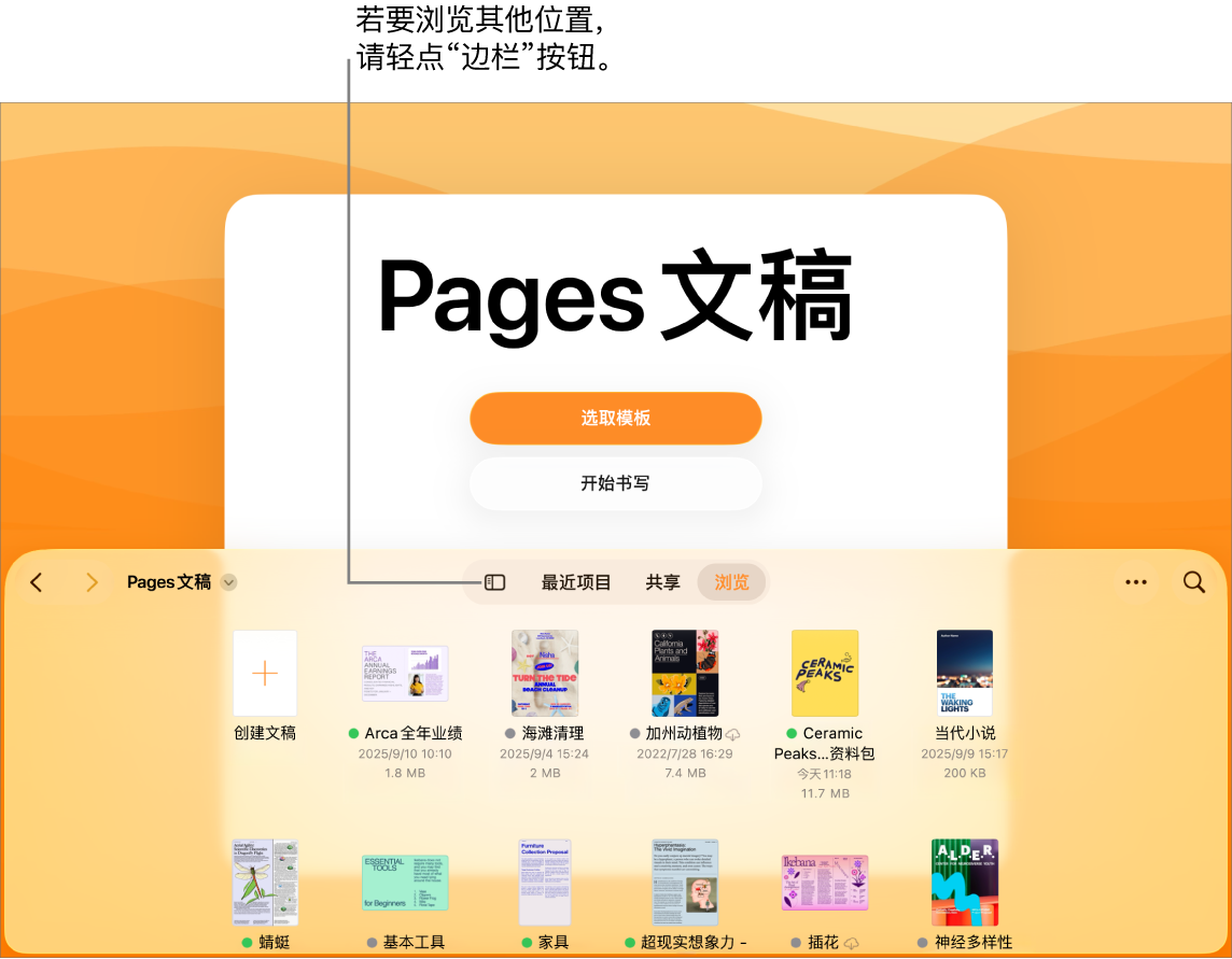 文稿管理器的浏览视图，“边栏”按钮位于左上角。右上方是“添加”按钮、“新建文件夹”按钮、“图标”按钮（按照名称、日期、大小或标记来排序）、“选择”按钮以及“搜索”按钮。这些按钮下方是现有文稿的缩略图。