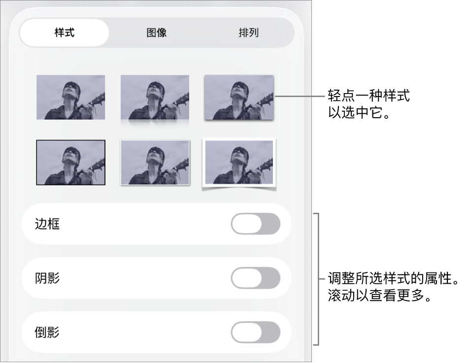 “格式”菜单中的“样式”标签,顶部为对象样式,样式下方为更改边框、阴影、倒影和不透明度的控制。