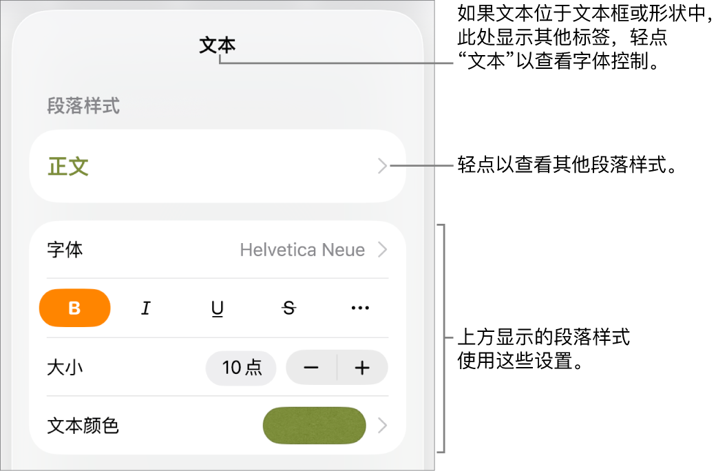 显示文本控制的“格式”菜单，用于设定段落和字符样式、字体、大小和颜色。