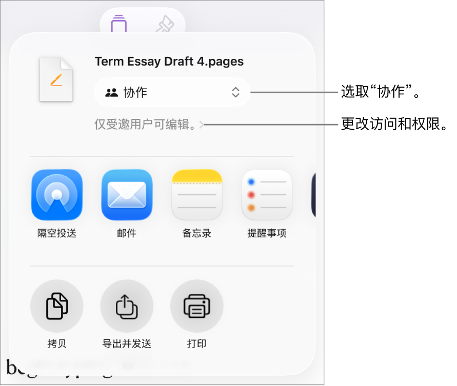 “共享”菜单,顶部已选中“协作”,下方是访问和权限设置。