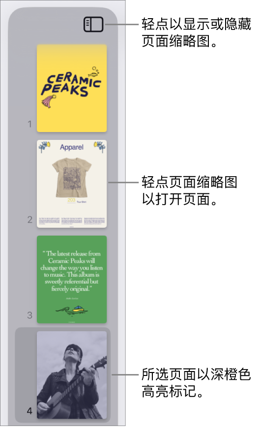 屏幕左侧的“页面缩略图”视图，其中一个页面被选定。“显示选项”按钮位于缩略图的上方。