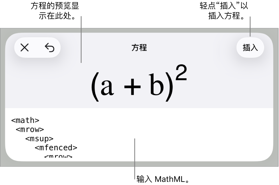 “方程”对话框，显示使用 MathML 命令所写的方程，以及上方公式的预览。