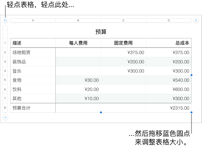 所选表格，含用于调整大小的蓝色圆点。