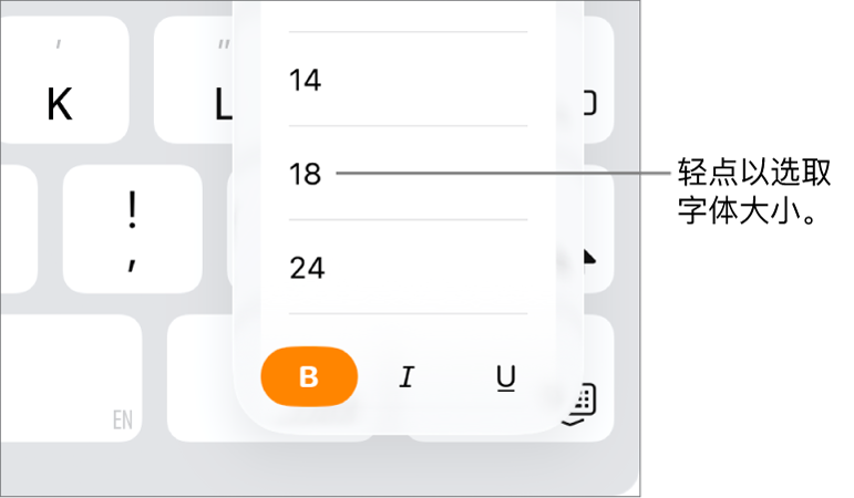 iPad 键盘右侧的“字体大小”按钮，其中“字体大小”菜单已打开。中国大陆政府标准字号显示在菜单顶部，点值位于下方。