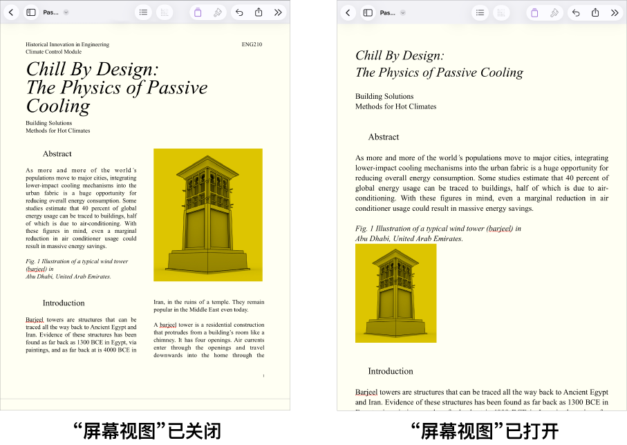 同一 Pages 文稿的两种视图，一种打开“屏幕视图”，另一种关闭“屏幕视图”。在“屏幕视图”打开的版本中，文本大小会根据屏幕调整，分页符和页眉会隐藏。