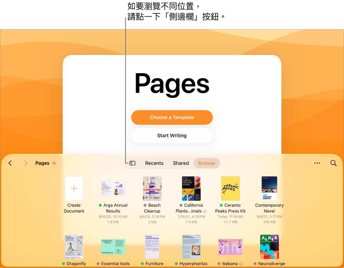 文件管理器的瀏覽顯示方式，左上角為「側邊欄」按鈕。右上方為「加入」按鈕、「新增資料夾」按鈕、「圖像」按鈕（以依照名稱、日期、大小或標記排列）、「選擇」按鈕，以及「搜尋」按鈕。這些項目下方是現有文件的縮圖。