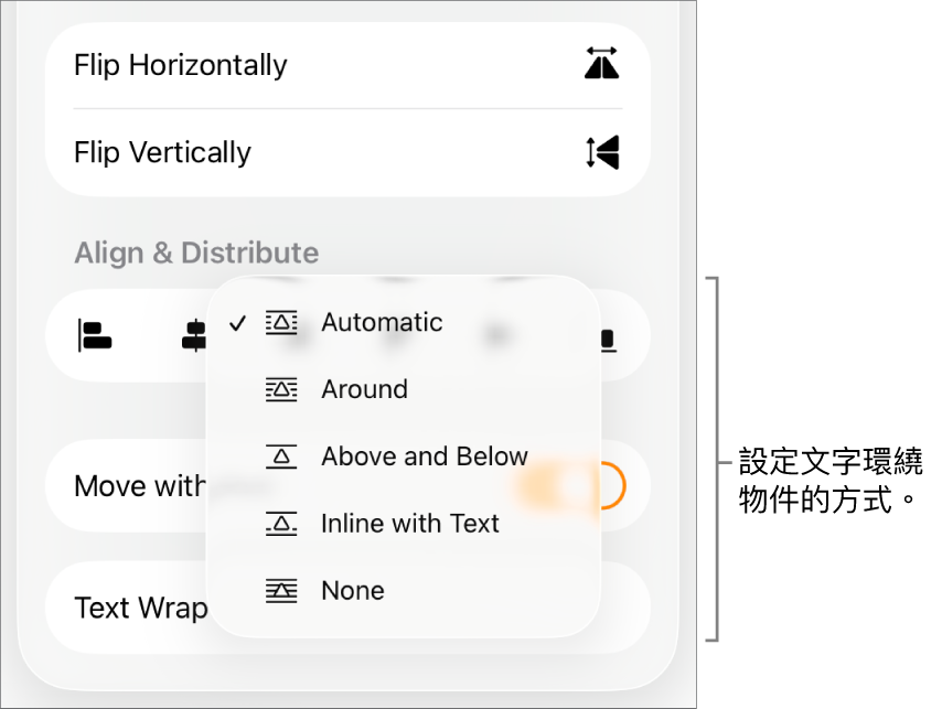 「格式」控制項目中已選擇「排序」分頁。其下方為「文字環繞」控制項目，其包含「移至最後/最前」、「隨文字移動」和「文字環繞」。