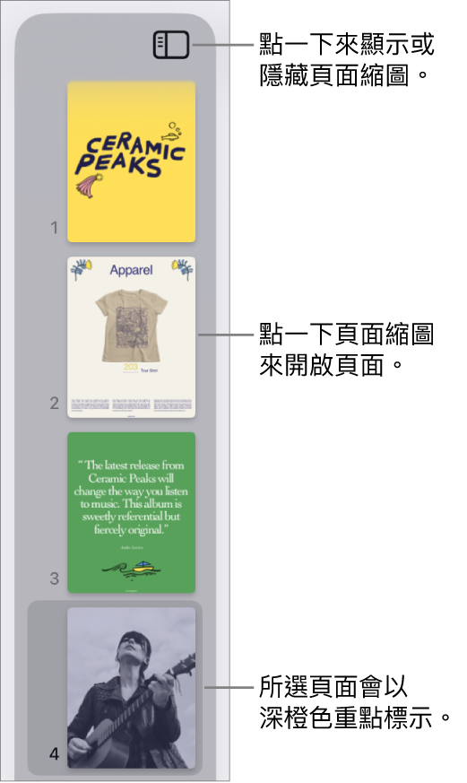 螢幕左側的「頁面縮圖」顯示方式，已選擇一個頁面。「顯示方式選項」按鈕位於縮圖上方。