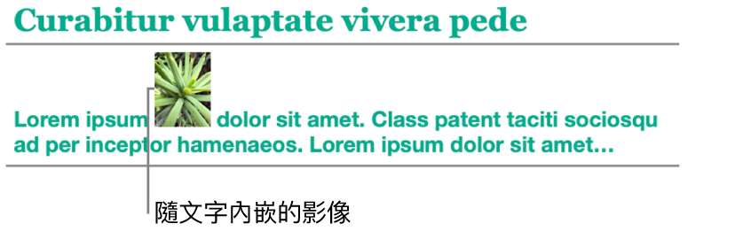 影像隨文字內嵌。