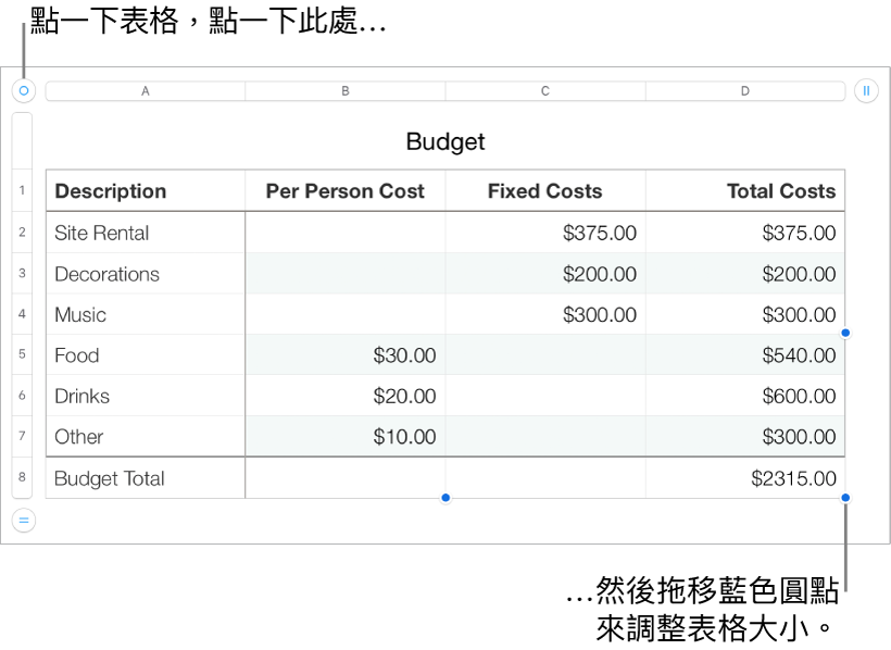 選取的表格，帶有調整大小的藍色圓點。