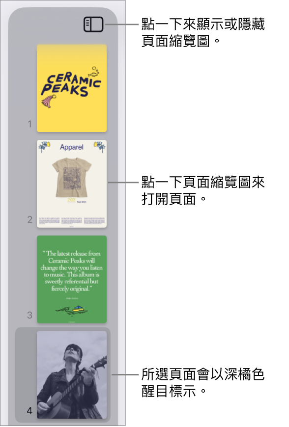 螢幕左側的「頁面縮覽圖」顯示方式,已選取一個頁面。「顯示方式選項」按鈕位於縮覽圖上方。