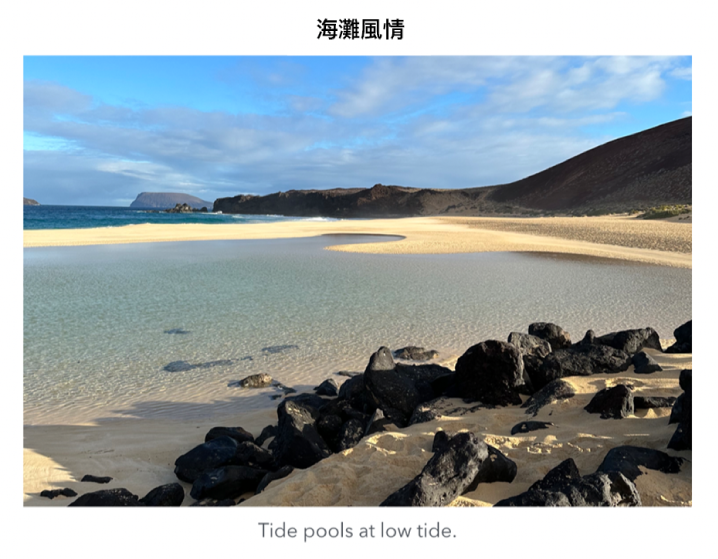 帶有標題和說明的物件。