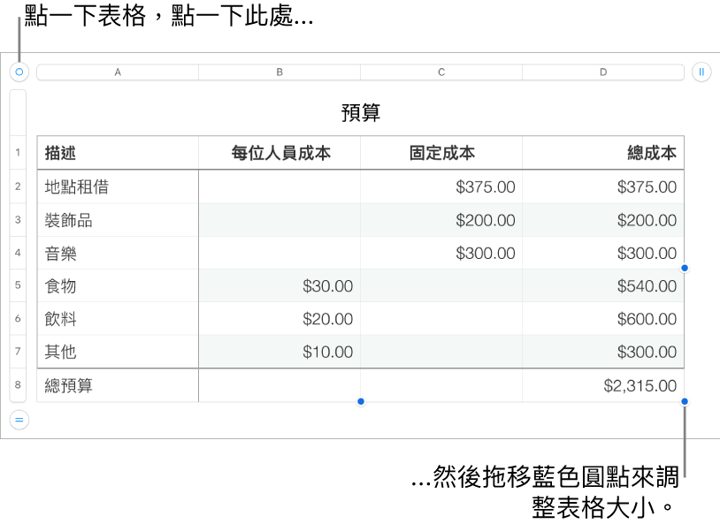 選取的表格,帶有調整大小的藍色圓點。