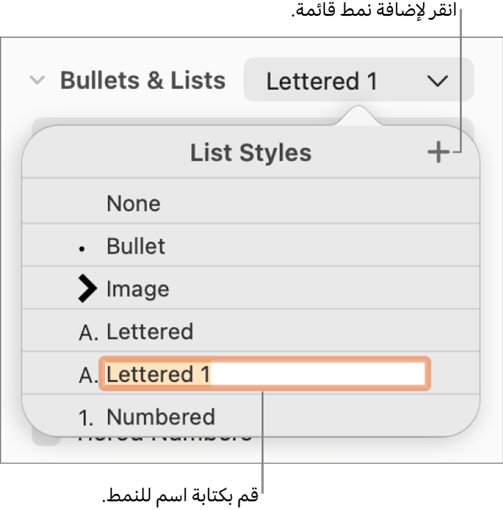 القائمة المنبثقة أنماط القائمة بها زر إضافة في الزاوية العلوية اليسرى واسم نمط عنصر نائب نصه محدد.