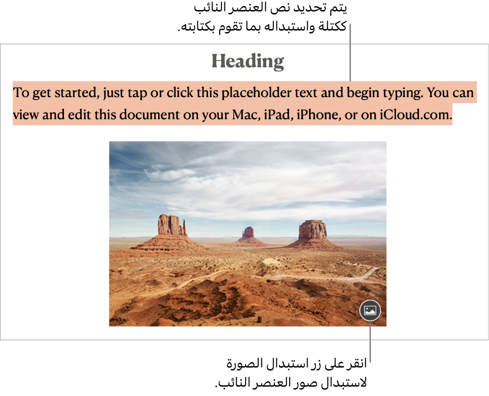 نصوص وصور العناصر النائبة.