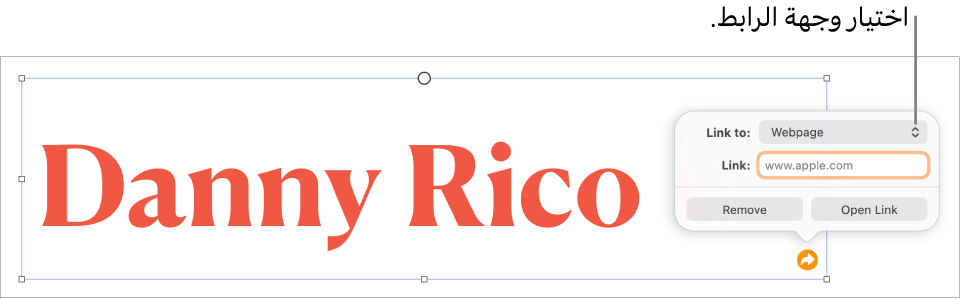 عناصر التحكم في محرر الرابط حيث يوجد الخيار صفحة الويب محددًا وتظهر أزرار إزالة وفتح الرابط في الأسفل.