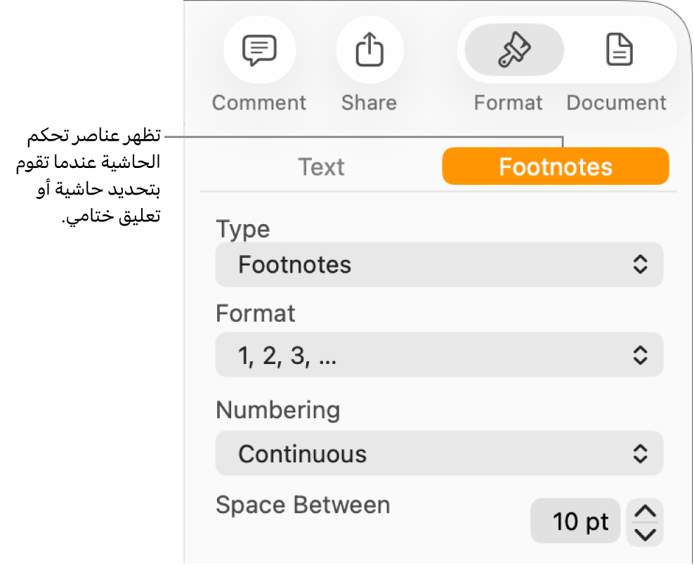 جزء الحواشي ويعرض قوائم منبثقة للنوع، والتنسيق، والترقيم، والمسافة بين الملاحظات.