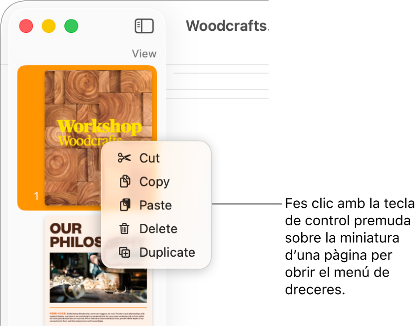 Vista “Miniatures de pàgina” amb una miniatura seleccionada i el menú de dreceres obert.