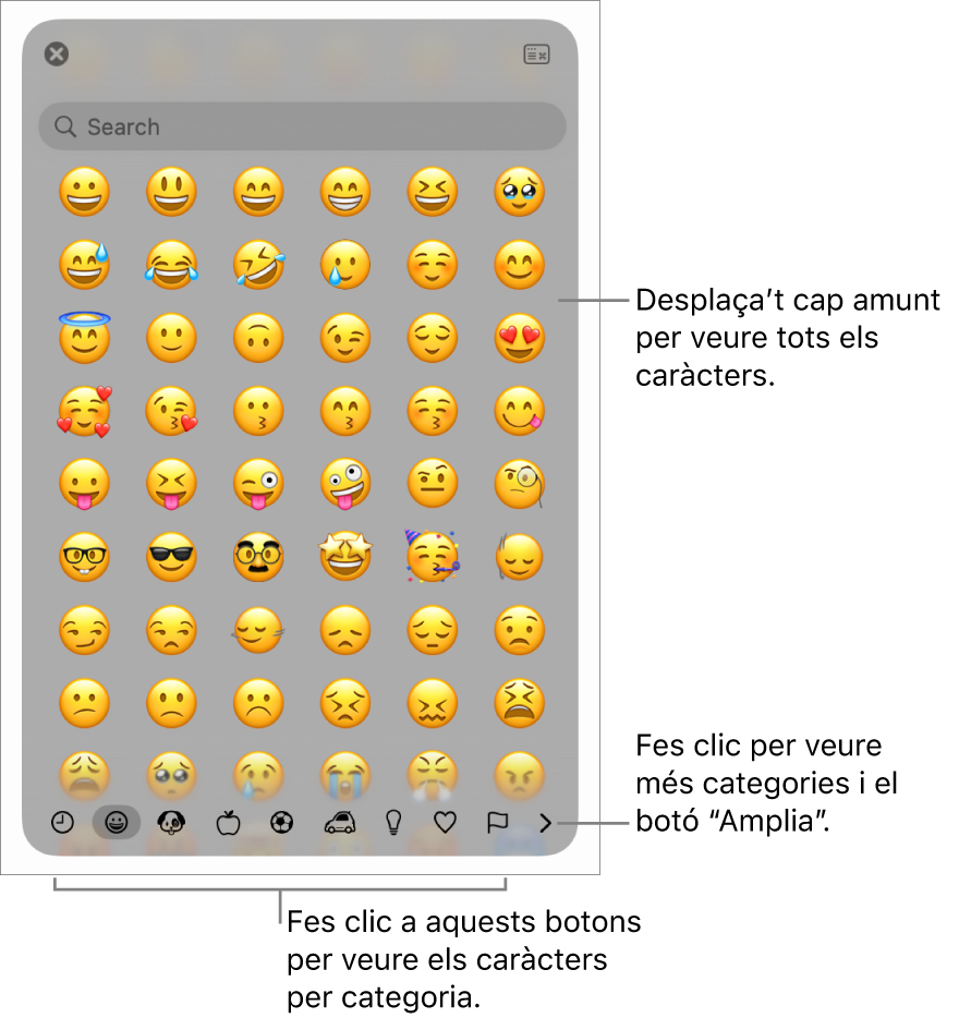 A la finestra del visor de caràcters es mostren emojis, botons per a les diferents categories de símbols a la part inferior i un botó per mostrar més categories, i el botó “Amplia”.