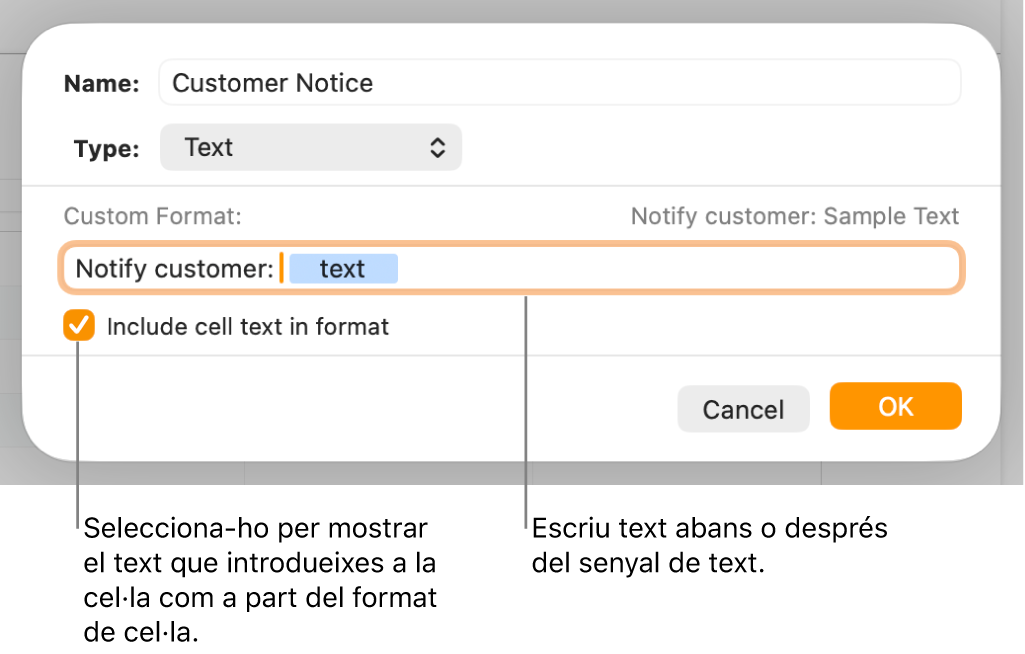La finestra de format de cel·la personalitzat, amb controls per seleccionar el format de text personalitzat.