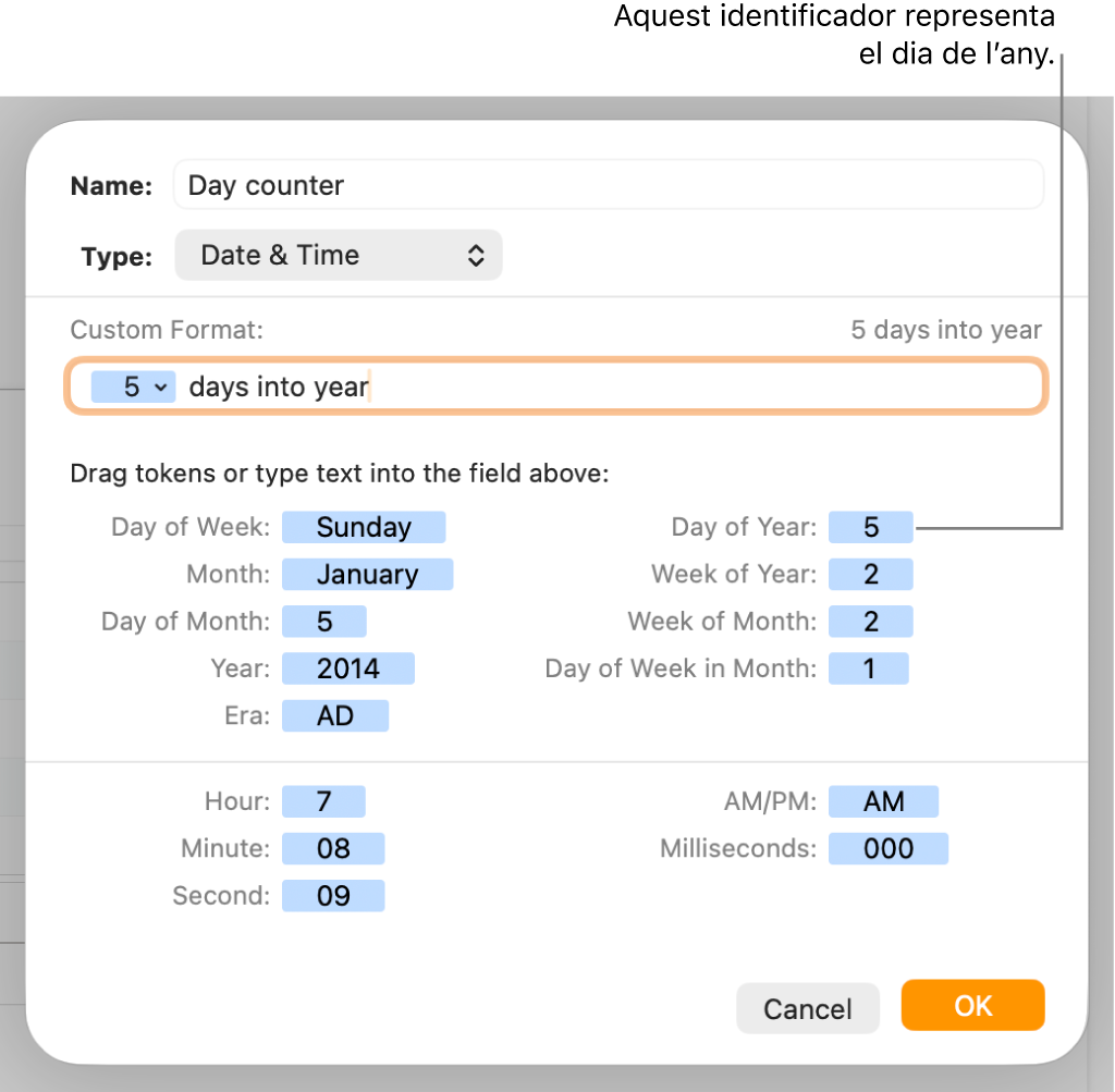 La finestra de format de cel·la personalitzat, amb controls per seleccionar un format personalitzat de data i hora.