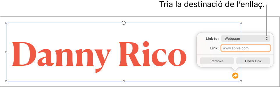 Controls de l’editor d’enllaços amb l’opció “Pàgina web” seleccionada i els botons “Elimina” i “Obre l’enllaç” situats a la part inferior.