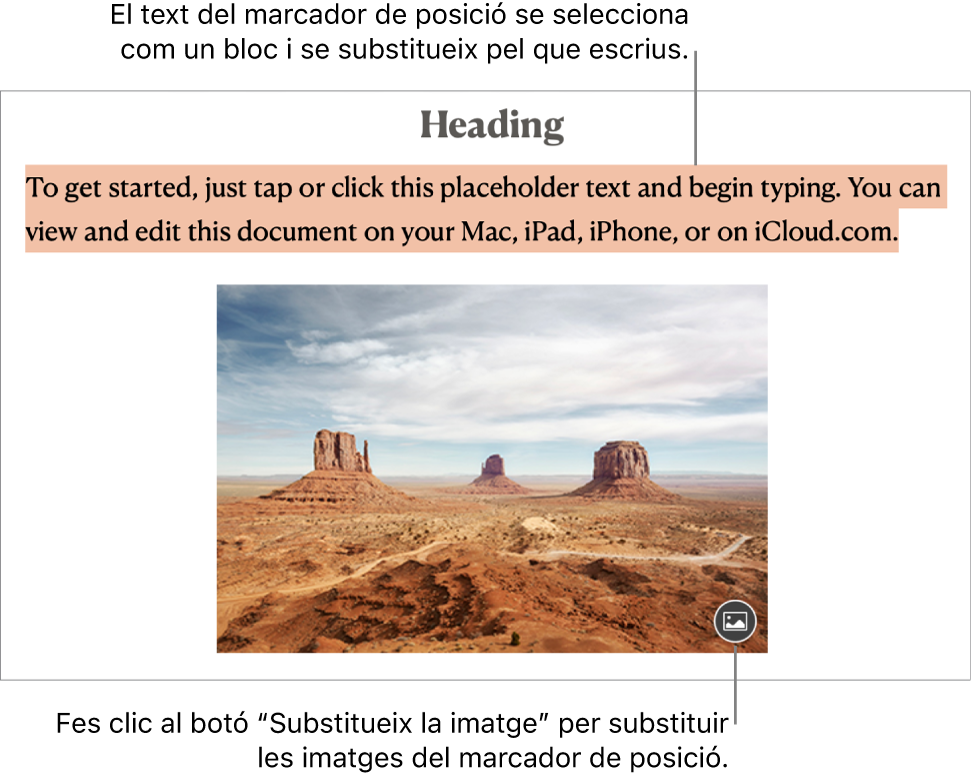 Text i imatges de marcador de posició.
