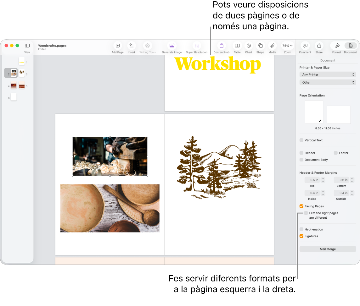 La finestra del Pages amb miniatures de pàgina i una visualització del document consistent en una disposició de dues pàgines. A la barra lateral Document de la dreta, hi ha la casella de selecció “Pàgines dreta/esquerra diferents” desmarcada.