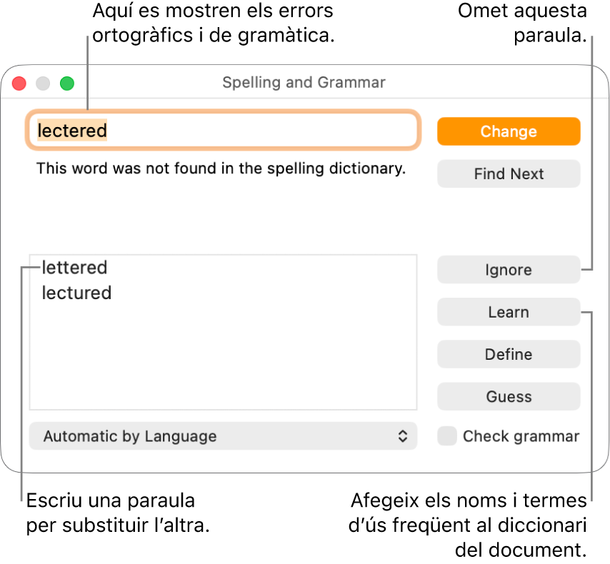 La finestra “Ortografia i gramàtica”.