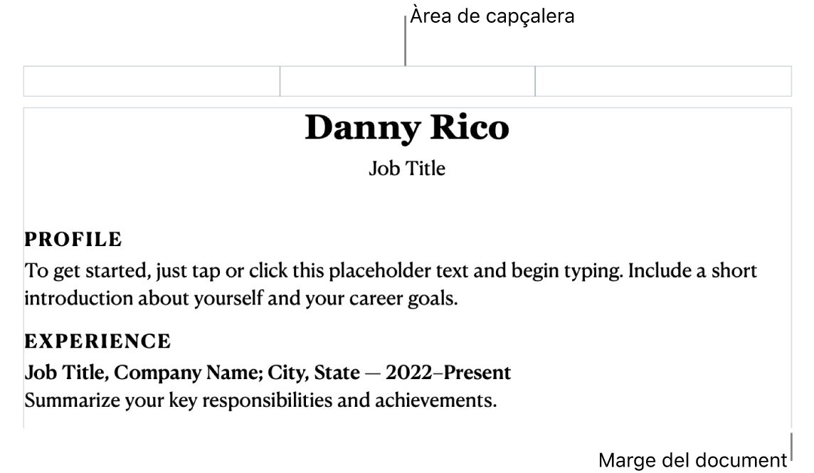 Vista de disposició amb la zona de capçalera i els marges del document.