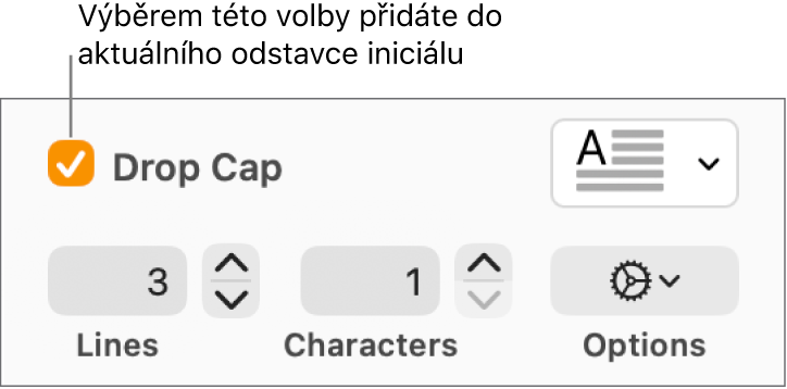 Je vidět zaškrtnuté políčko Iniciála a napravo od něj je místní nabídka; pod ní jsou ovládací prvky pro nastavení výšky řádku, počet znaků a další volby