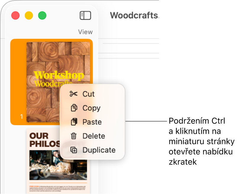 Panel s miniaturami stránek s jednou vybranou miniaturou a s otevřenou místní nabídkou