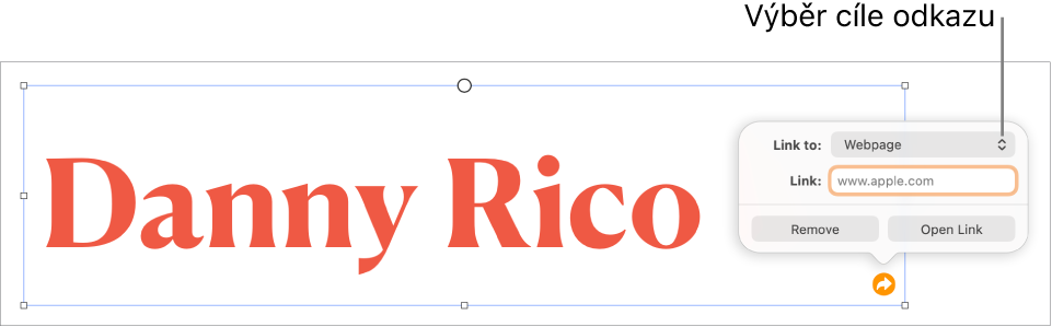 Ovládací prvky editoru odkazů s vybranou volbou Webová stránka a tlačítky Odstranit a Otevřít odkaz v dolní části.