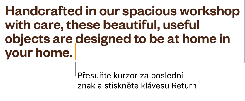 Kurzor umístěný za tečkou v poslední větě odstavce