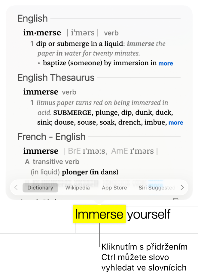 Odstavec se zvýrazněným slovem a okno s jeho definicí a položkou tezauru. Tlačítka u spodního okraje okna poskytují odkazy na slovník, Wikipedii a webové stránky navrhované Siri.