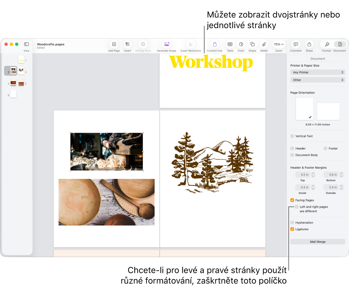 Okno Pages s miniaturami stránek a stránky dokumentu zobrazené jako dvojstránky. Na bočním panelu Dokument napravo je odznačeno políčko „Levé a pravé stránky jsou odlišné“