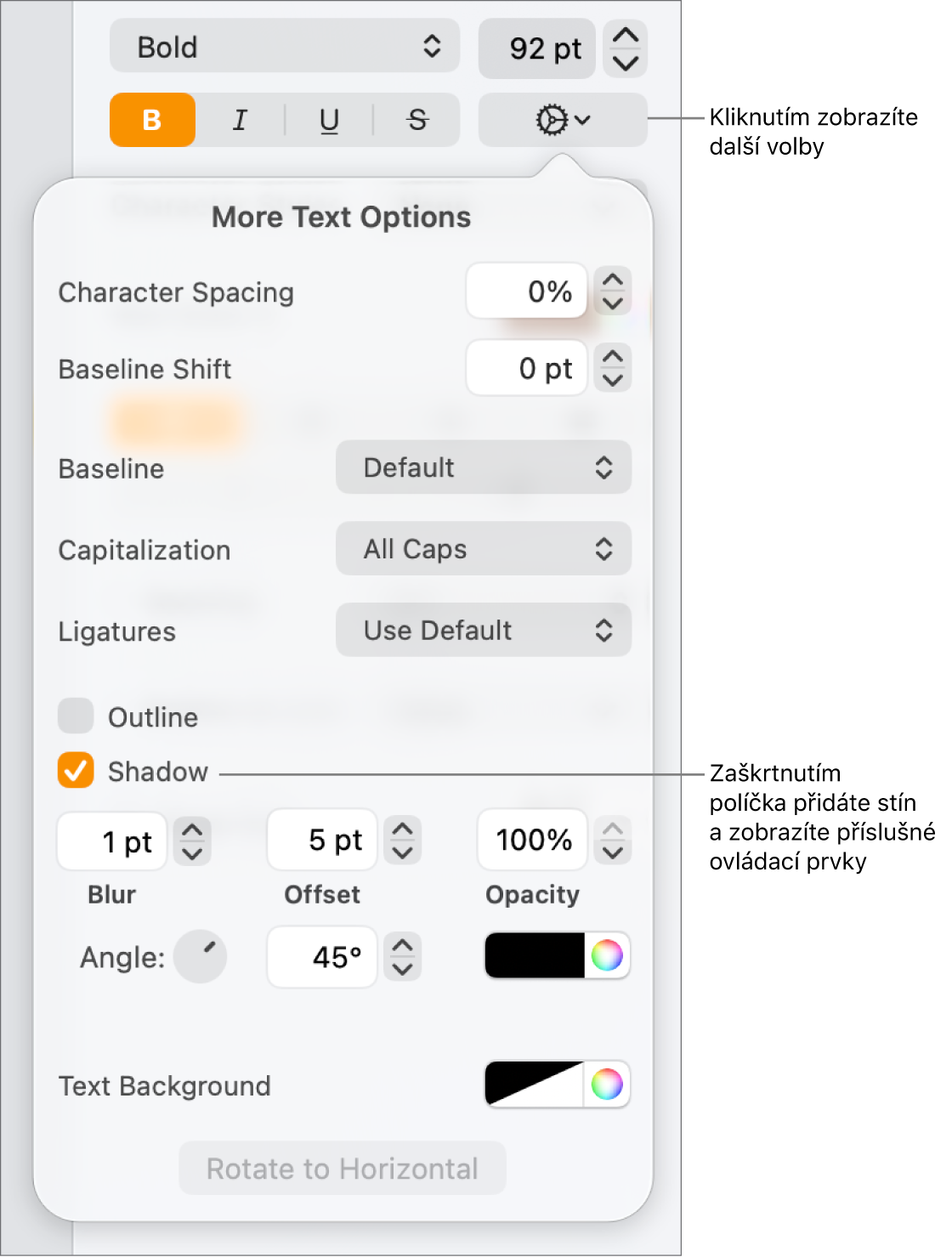 Otevřená nabídka Pokročilé volby se zaškrtnutým políčkem Stíny a ovládacími prvky pro nastavení rozostření, posunutí, neprůhlednosti a barev