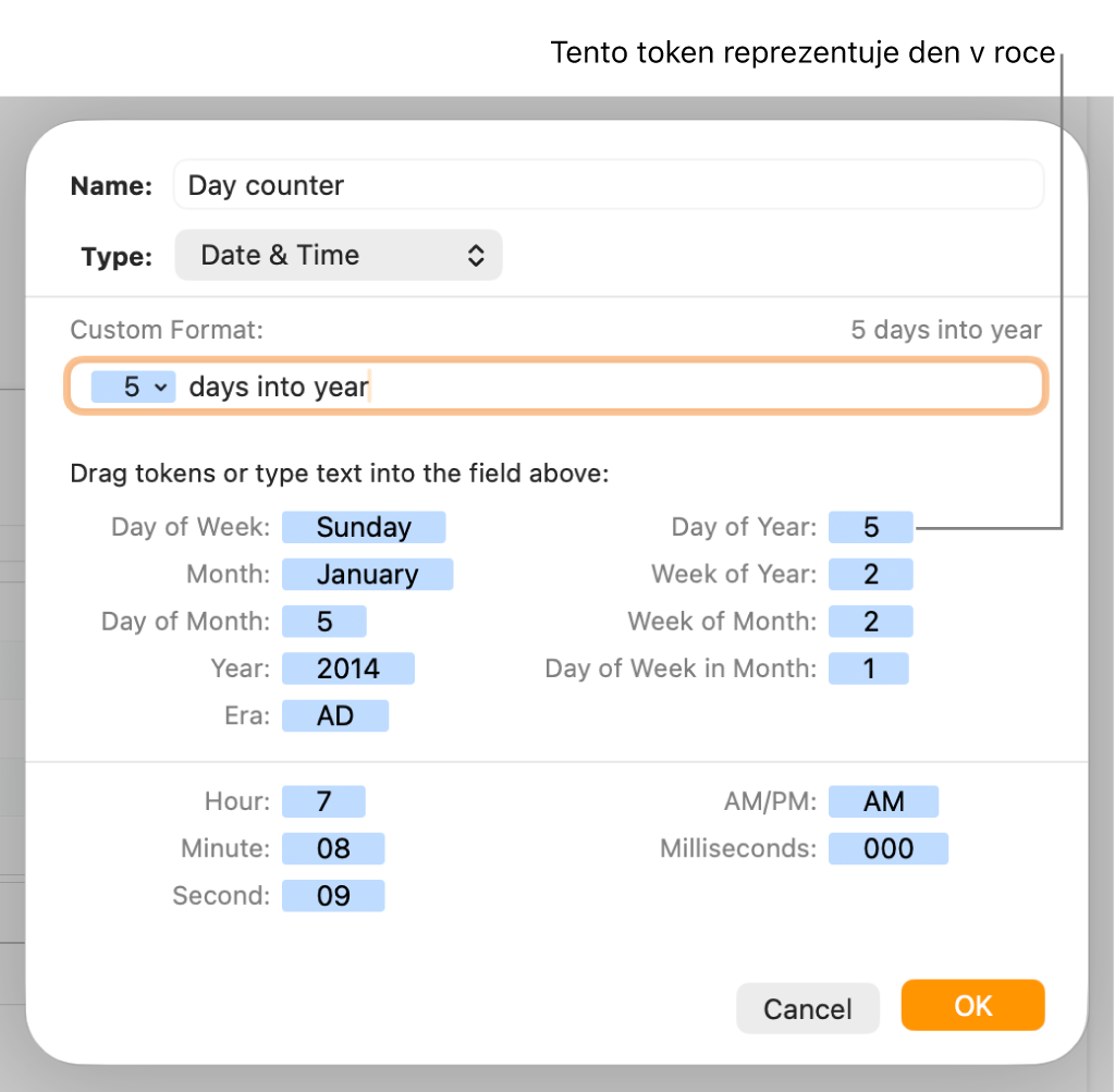 Okno vlastního formátu buněk s ovládacími prvky pro výběr vlastního formátu data a času