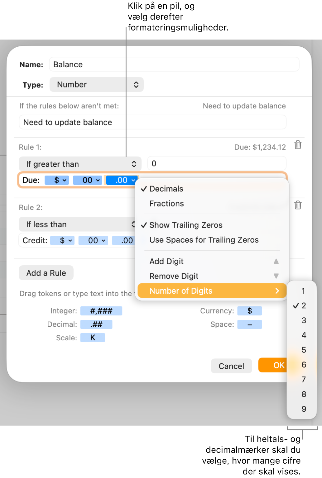 Vinduet til specielle celleformater med betjeningsmuligheder til valg af specielle formateringsmuligheder.