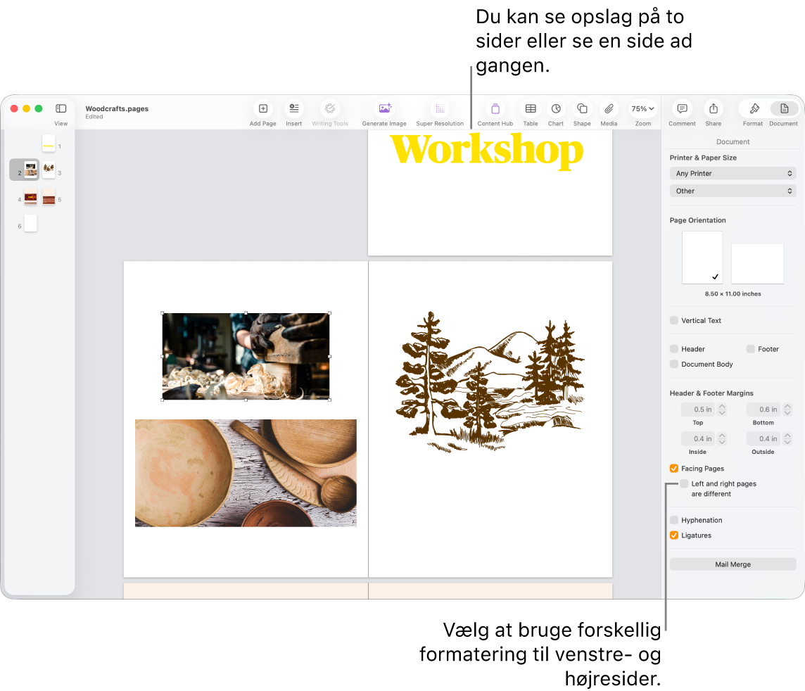 Pages-vinduet med miniaturer af sider og dokumentsider vist som opslag på to sider. Afkrydsningsfeltet “Forskellige venstre- og højresider” i indholdsoversigten Dokument til højre er ikke valgt.