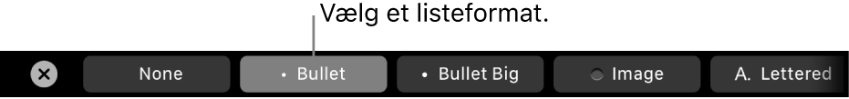 MacBook Pro Touch Bar med betjeningsmuligheder til valg af listeformat.