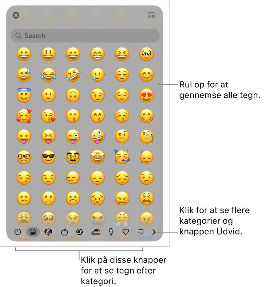 Tegnfremviseren med emoji, knapper til forskellige kategorier af symboler nederst og en knap, der viser flere kategorier og knappen Udvid.