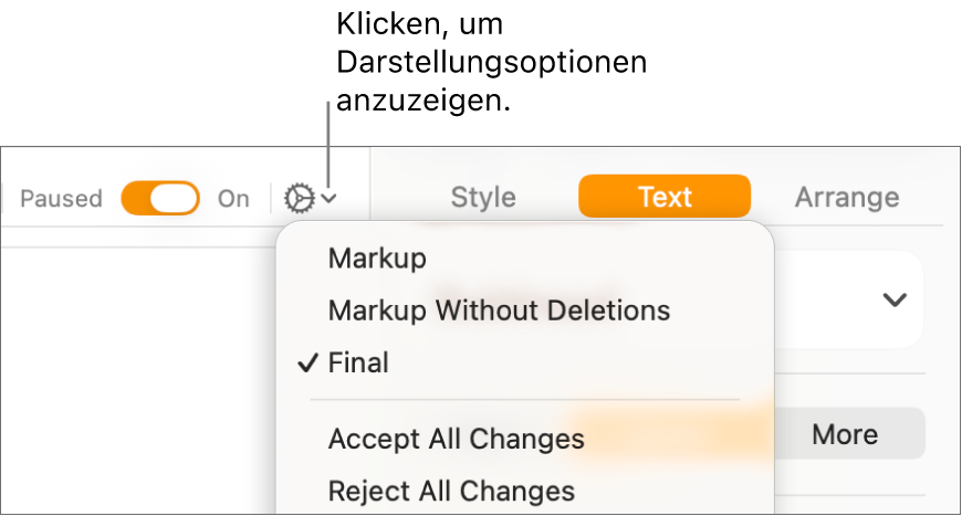 Das Menü mit den Prüfoptionen: Hervorhebung im Text, Hervorhebung (ohne Gelöschtes) und Endgültige Version