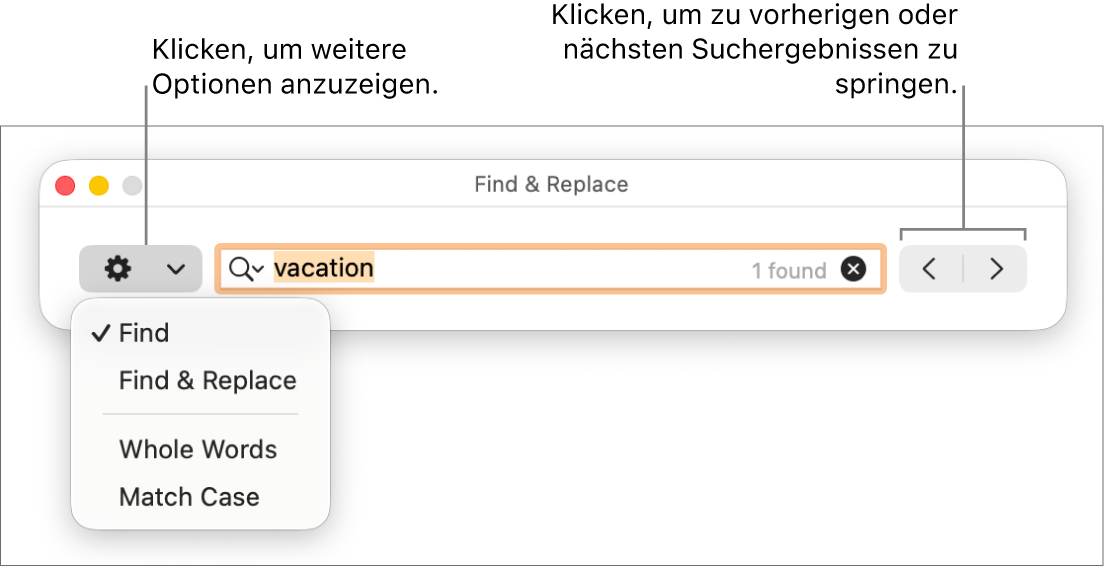 Das Fenster „Suchen & Ersetzen“ mit dem Einblendmenü, in dem Optionen zum Suchen, Suchen und Ersetzen, Suchen ganzer Wörter und Suchen unter Berücksichtigung der Groß-/Kleinschreibung zu sehen sind. Mit den Pfeilen auf der rechten Seite kann zu den vorherigen bzw. nächsten Suchergebnissen gesprungen werden.