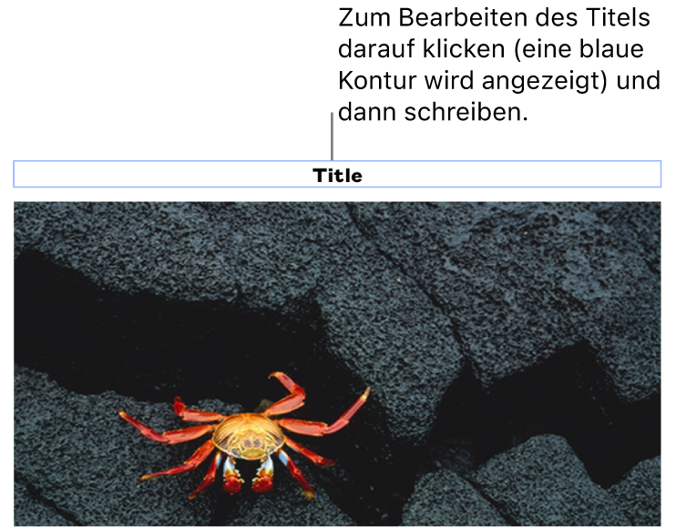 Der Platzhaltertitel „Titel“ erscheint unter einem Foto, ein blauer Rahmen um das Titelfeld gibt an, dass es ausgewählt ist.
