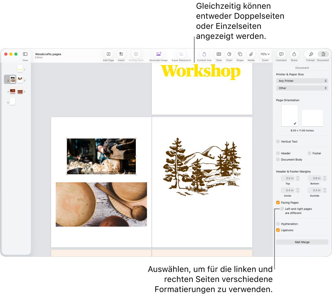 Das Pages-Fenster mit Seitenminiaturen und Dokumentseiten, die als Doppelseiten angeordnet sind. In der Seitenleiste „Dokument“ rechts ist das Feld „Linke u. rechte Seiten unterschiedlich“ nicht markiert.